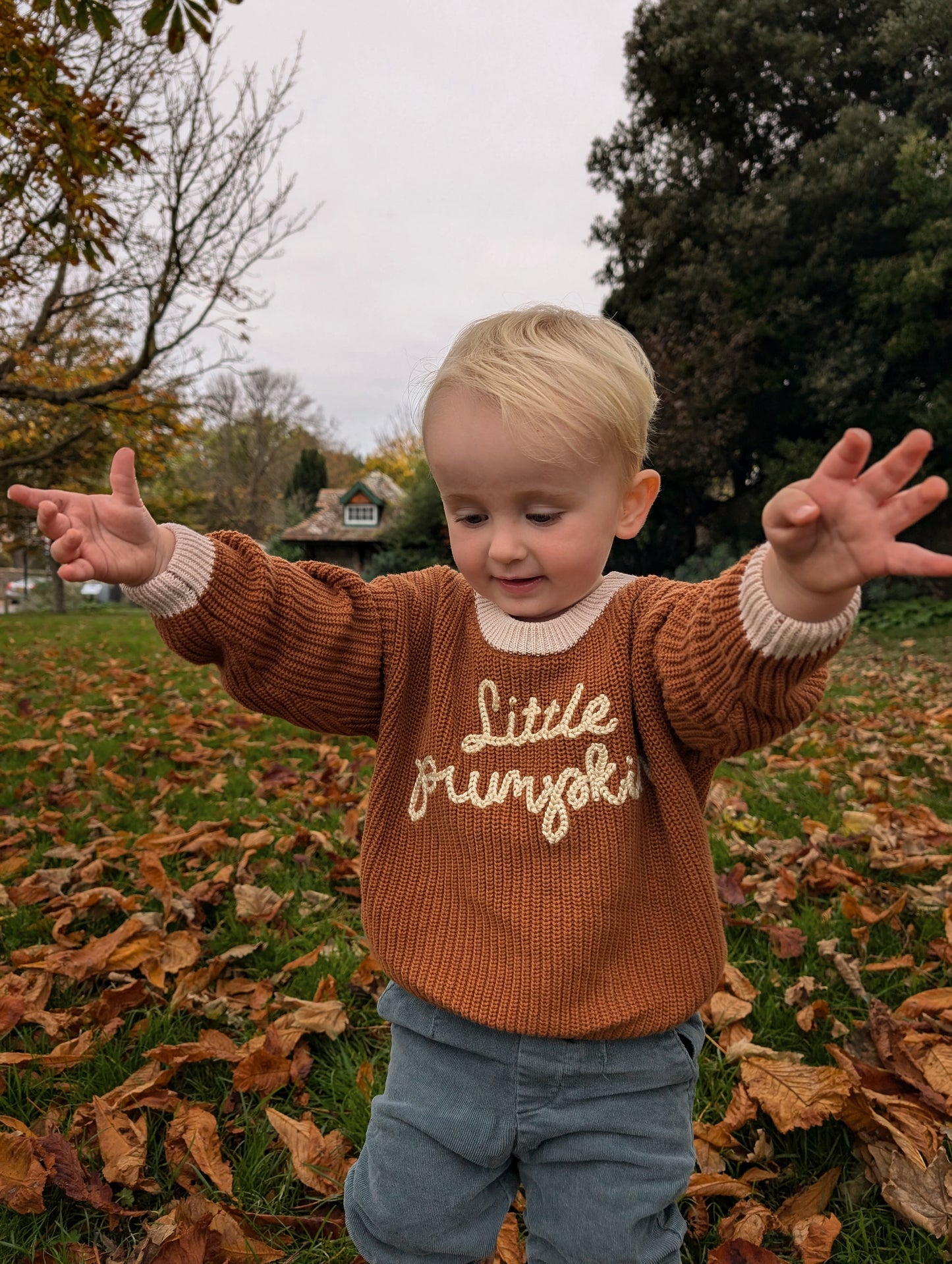 Little Pumpkin Knit