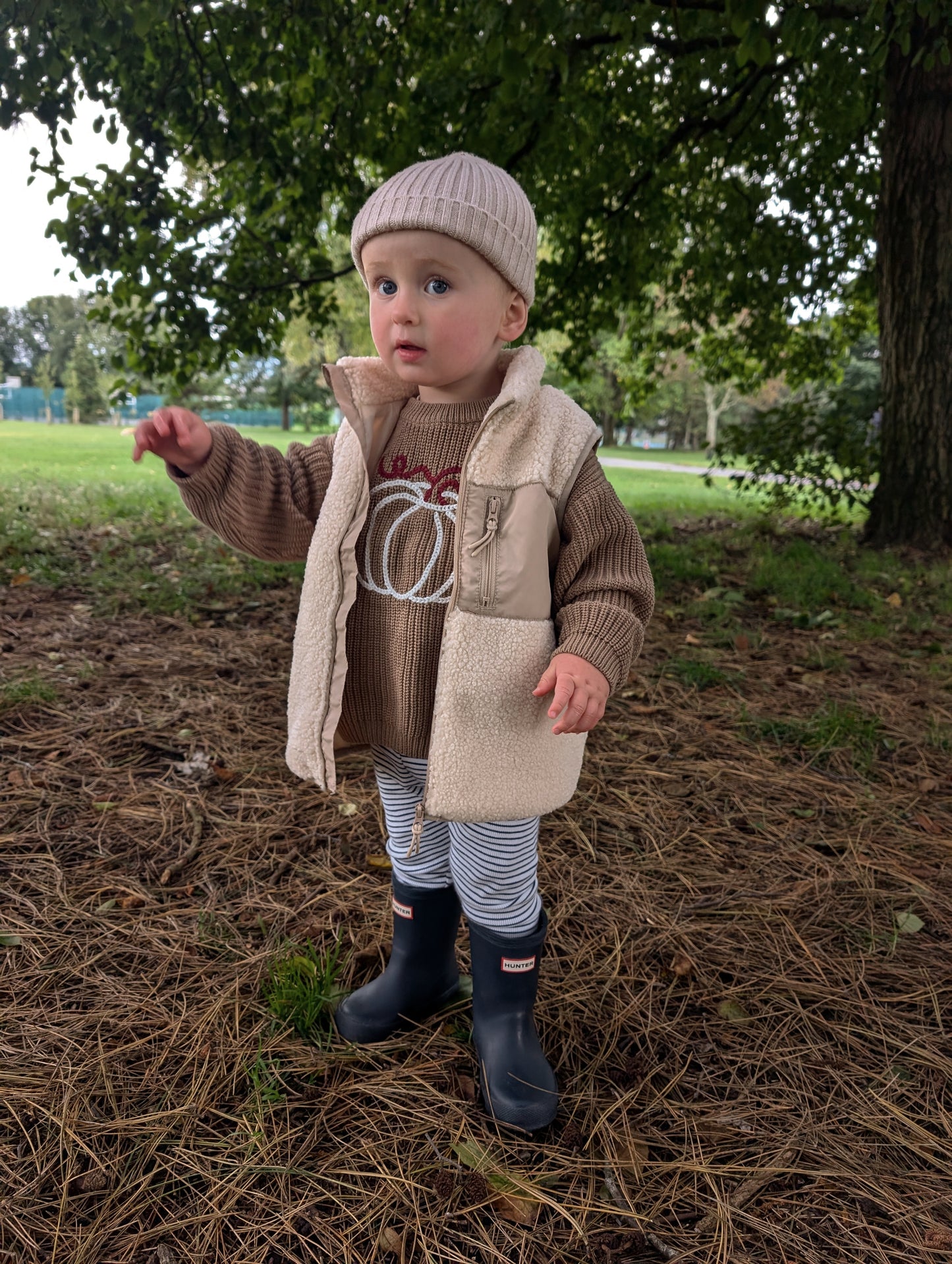 Harvest Knit