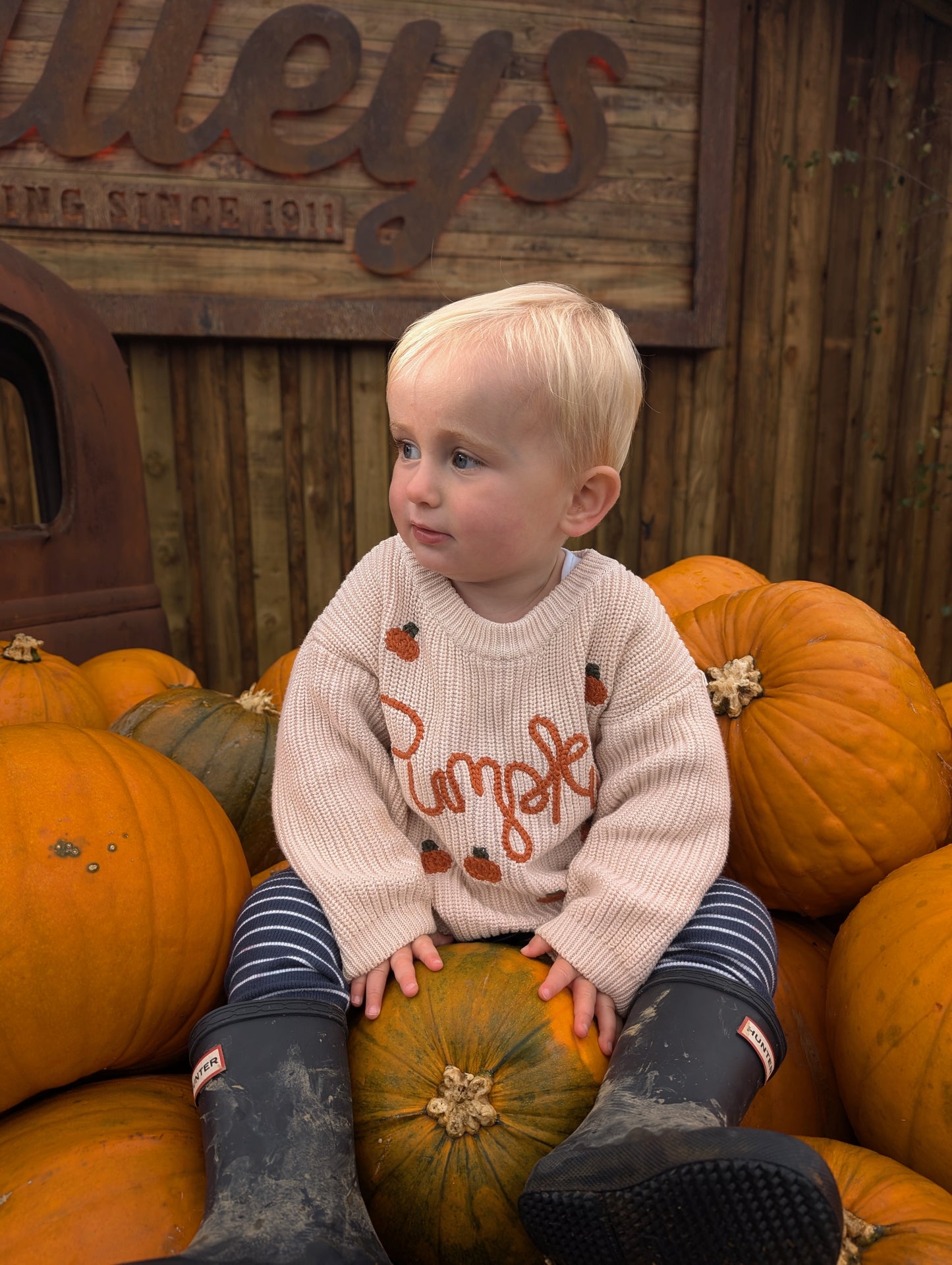 Pumpkin Patch Knit